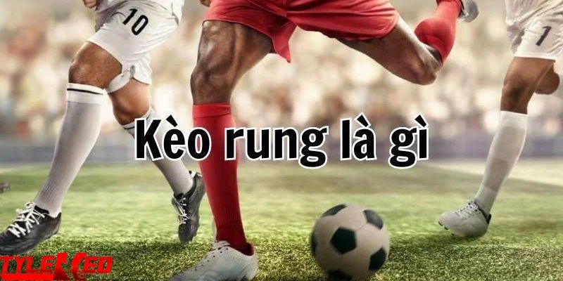 kèo rung Kèo rung là gì?