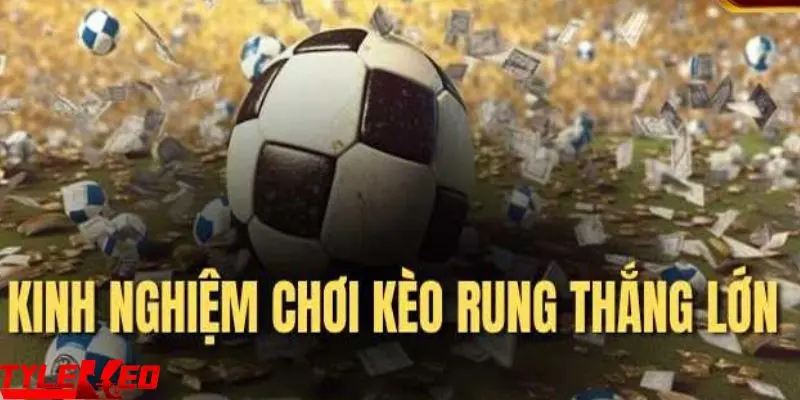 kèo rung Tổng hợp những kinh nghiệm soi kèo rung bất bại