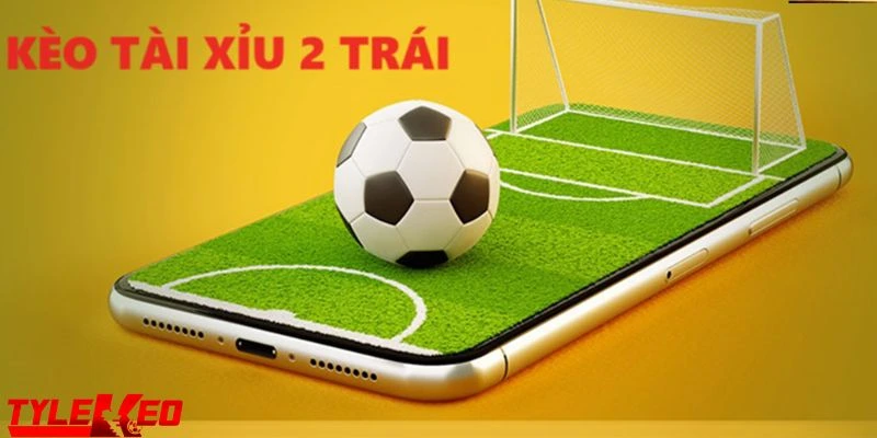 Ví dụ minh họa cách tính tiền khi vào kèo tài xỉu 2 trái